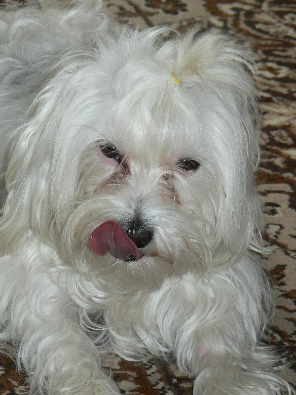 Foto: To bola m�amka.