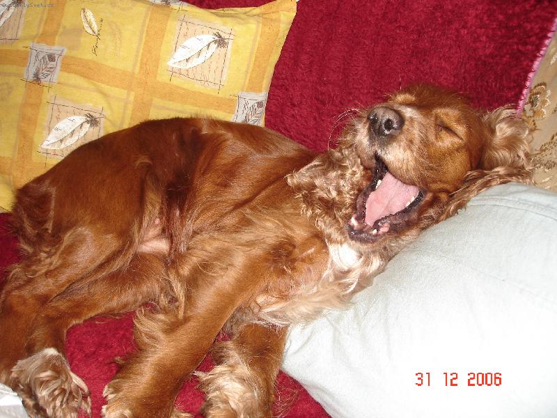 Foto: babi��ina Nelinka