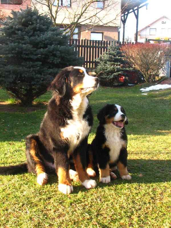 Foto: Pi�kotek-Pi�kotek