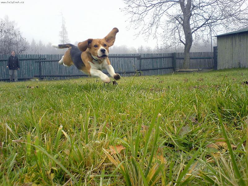 Foto: Eda-str��ek Fido