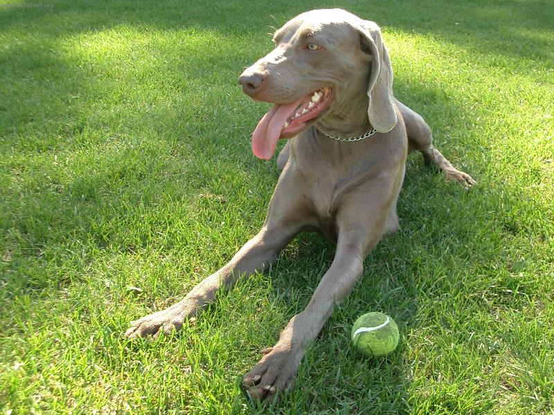 Foto: Aime-No, nen� to modelka?:o))