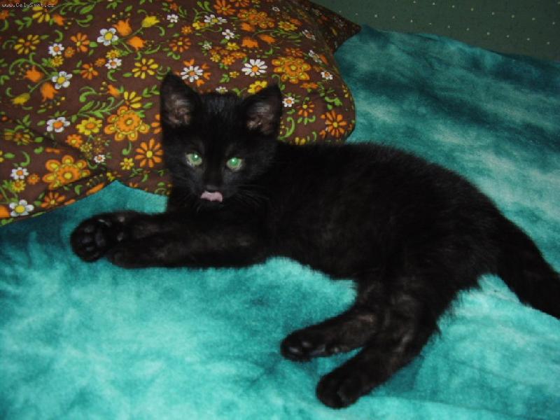 Foto: He�, te� jsem tu j�-Mat�sek