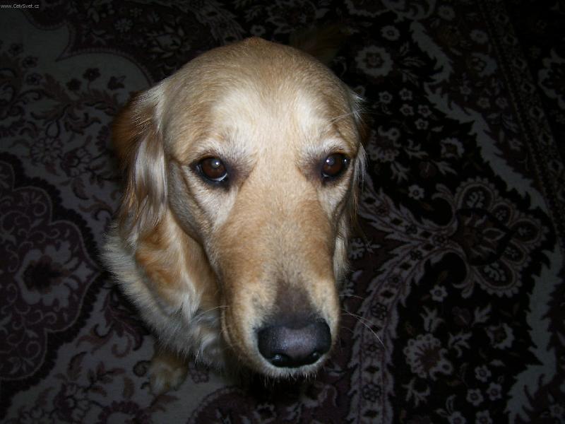 Foto: Jackie
