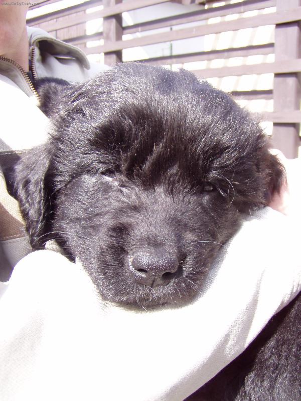 Foto: Malinkej Monty