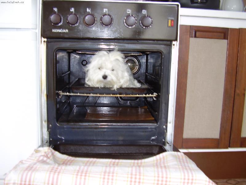 Foto: Vikinka-bydl�m u kanibal�