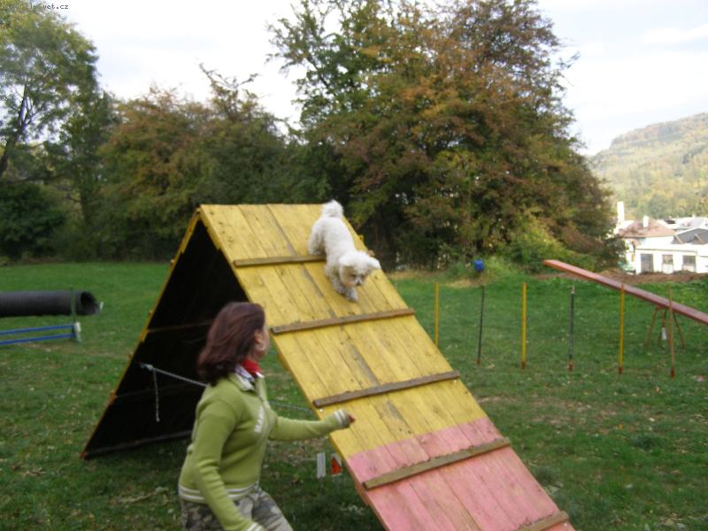 Foto: Lexinka-Lexi v akci (��ko)