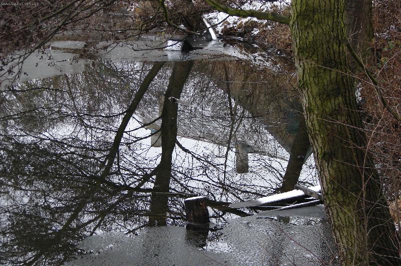 Foto: Zima u rybn�ka