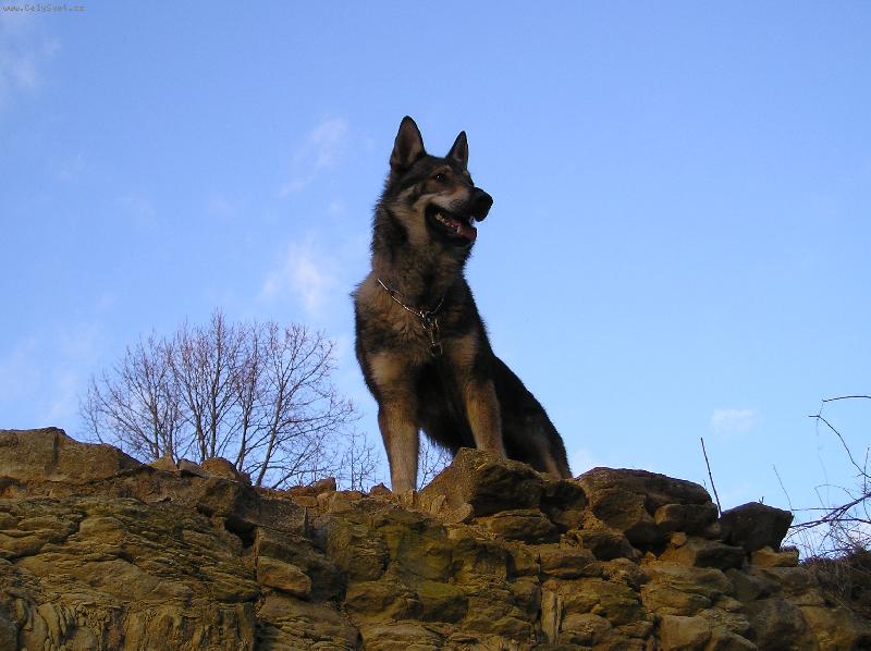 Foto: Na obhlidce hradu