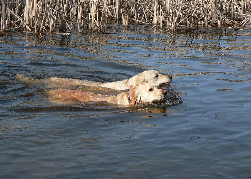 Foto: Jarn� koupel