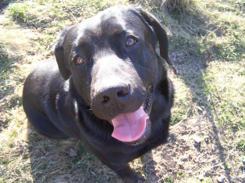 Foto: Maxik-J��� to je sranda :-)