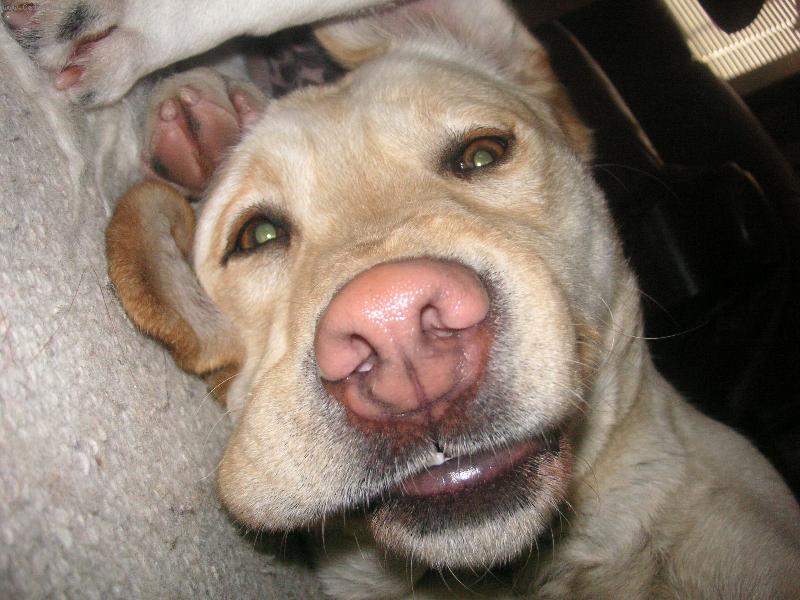 Foto: LINDA-odpo��v�