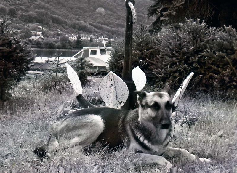 Foto: Hl�da�ka polab�