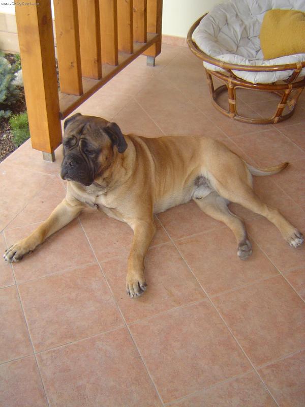 Foto: Monty-To je nuda