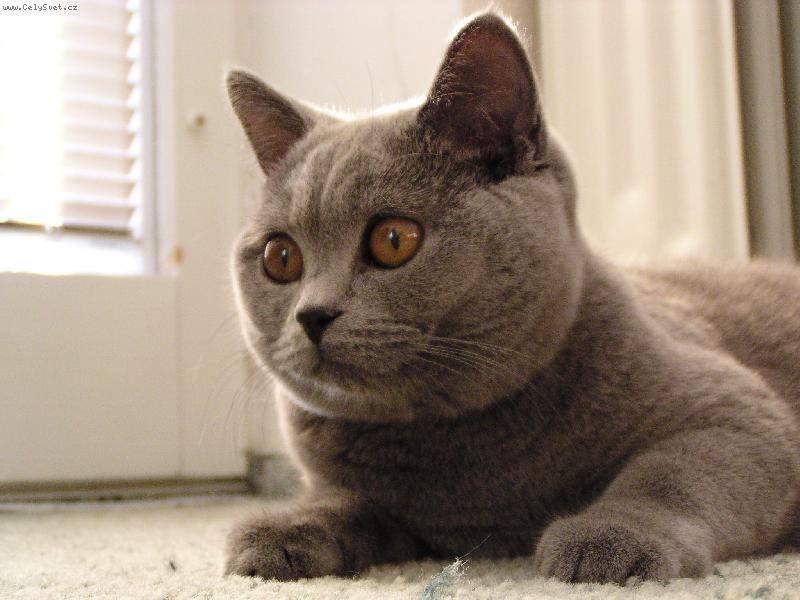 Foto: Luisa Princess Picollomini-v pozoru