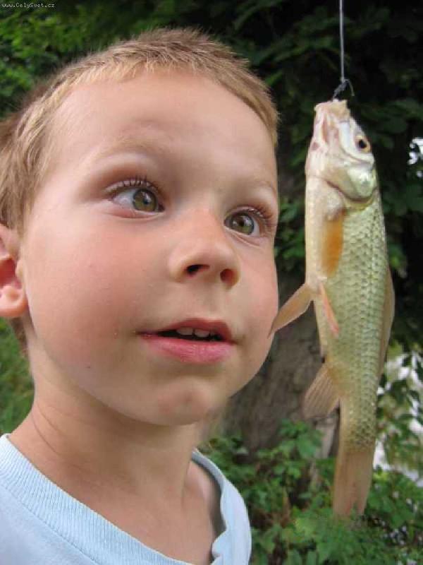 Foto: Spl� mi p��n�