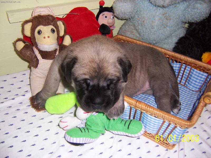 Foto: mezi hra�kami