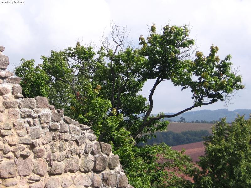 Foto: Hradn� strom