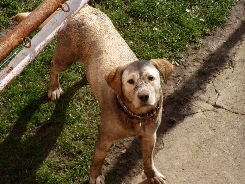 Foto: Vyv�len v oranici-�ampon mi moc nevon�l