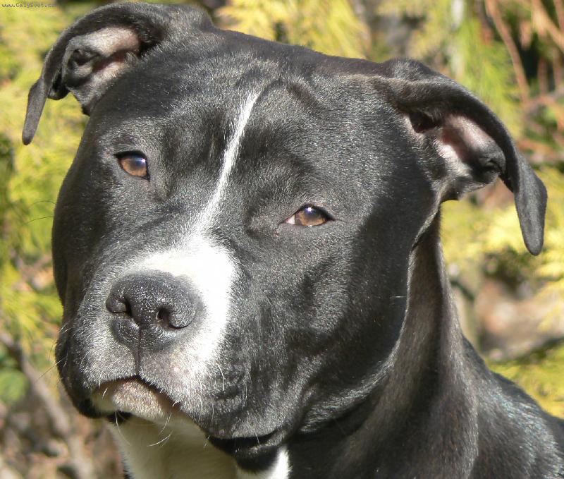 Foto: ARNY-ZLAT��KO