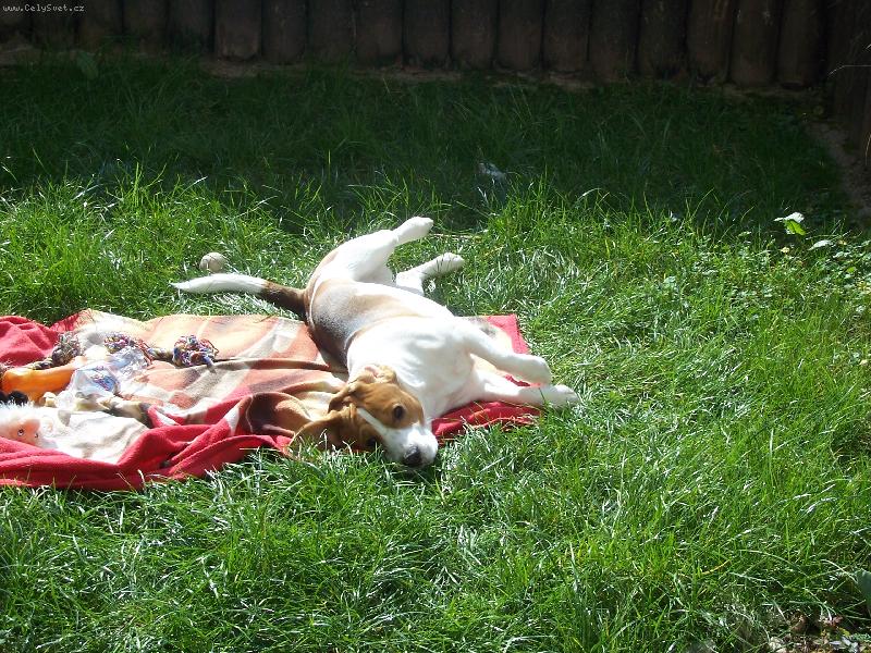 Foto: chyt�n� bronzu