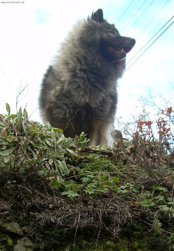 Foto: Belinka-Bella Zimn� sen