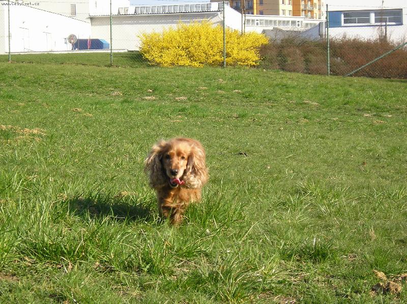 Foto: Shelly-U� b��m !