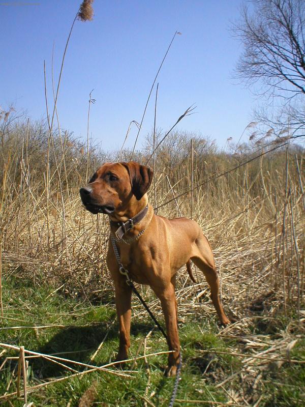 Foto: ...co asi spozoroval...