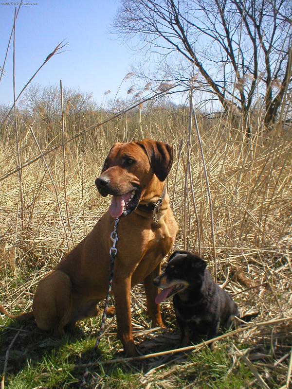 Foto: Fredy a Cooper