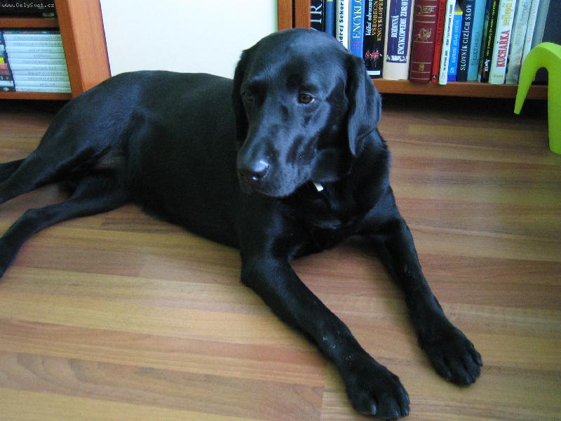 Foto: Tina-P�za d�my