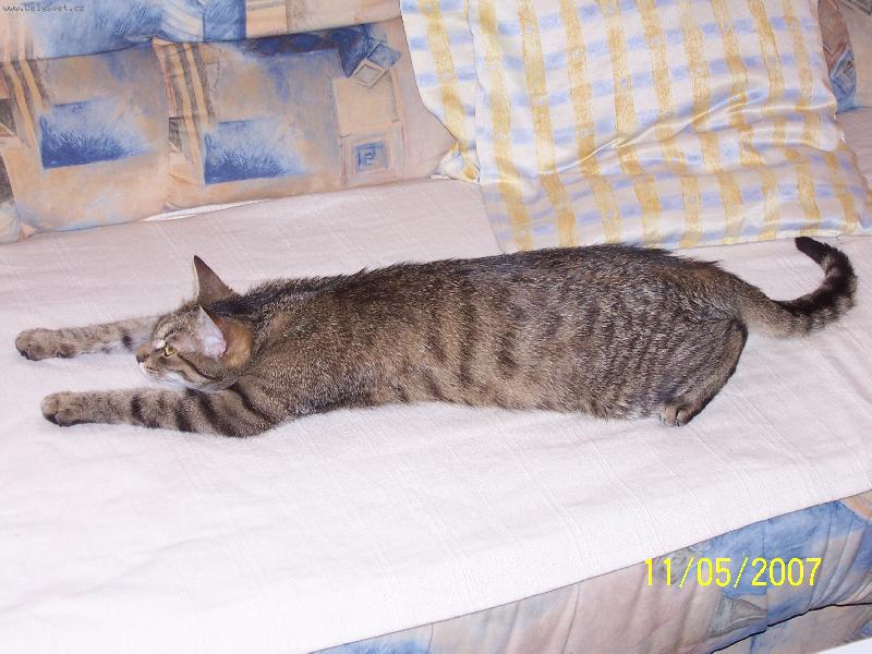 Foto: To je moje pohovka