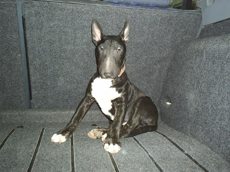 Foto: Tak jedeme u�???-Ozzy