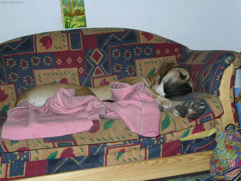 Foto: sp�c� miminko-unaven� maxik