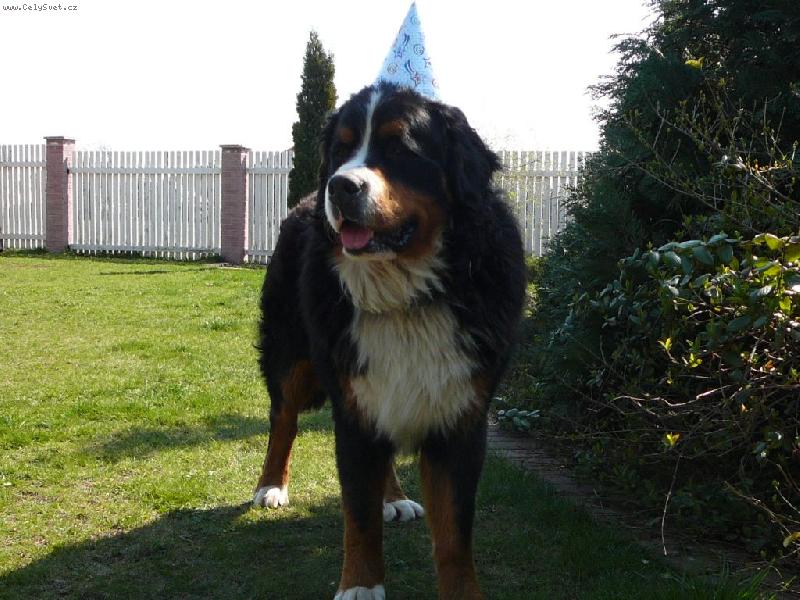 Foto: ro�n� Edy-Edy solavenec:-))