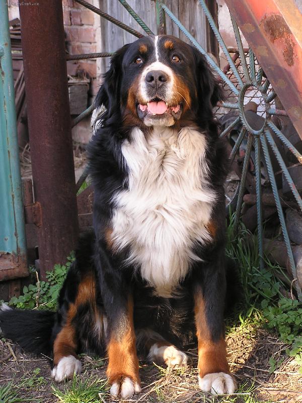 Foto: Conie Vastr�