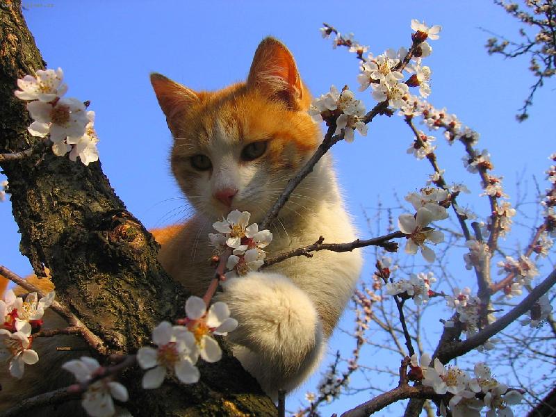 Foto: neposed�m...