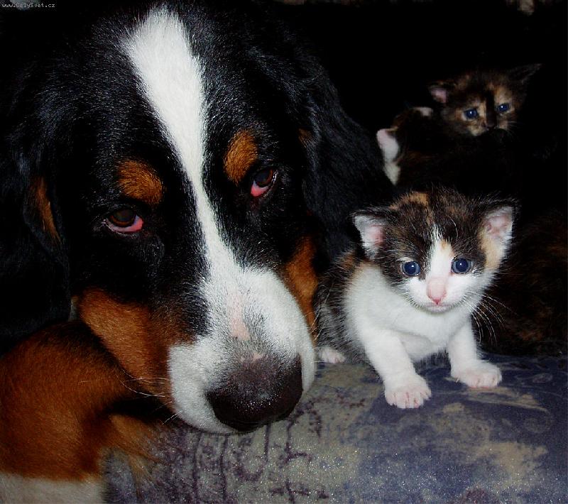 Foto: V bezpe��...