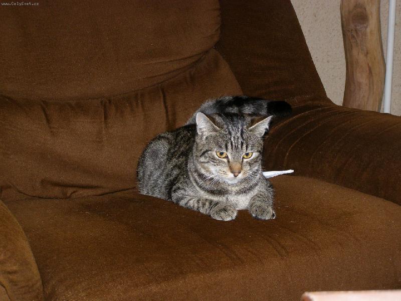 Foto: Odpo�inek na k�esle