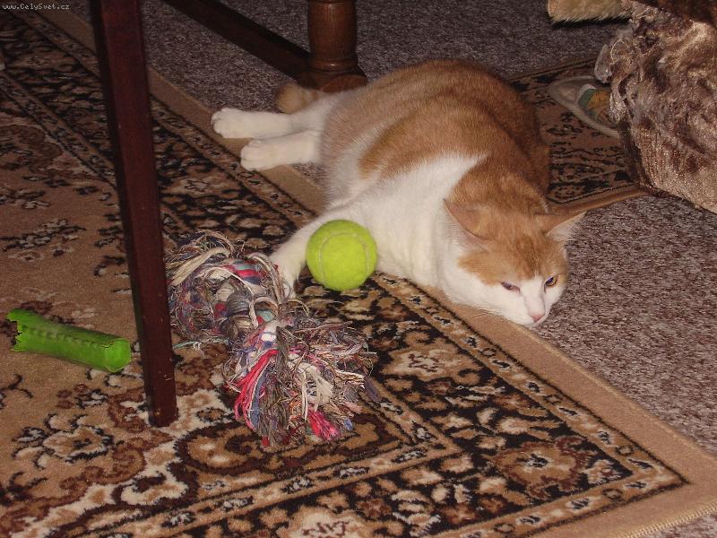 Foto: Mates-...to hran�, ale zm�h�!!!