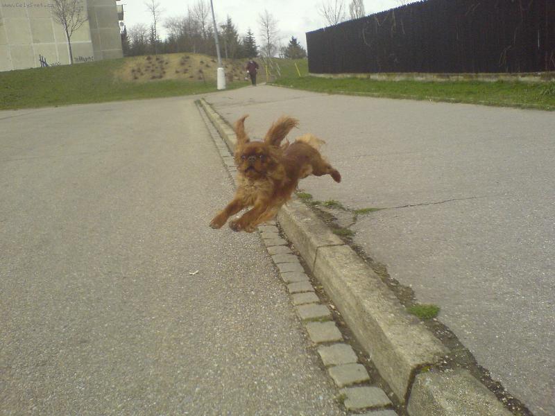 Foto: Jimmy-Str��ek Fido