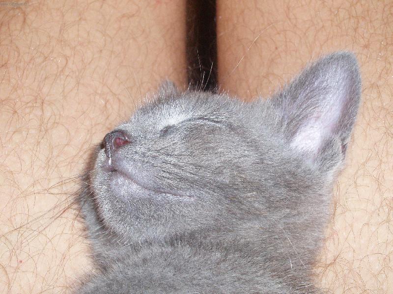 Foto: Psst...