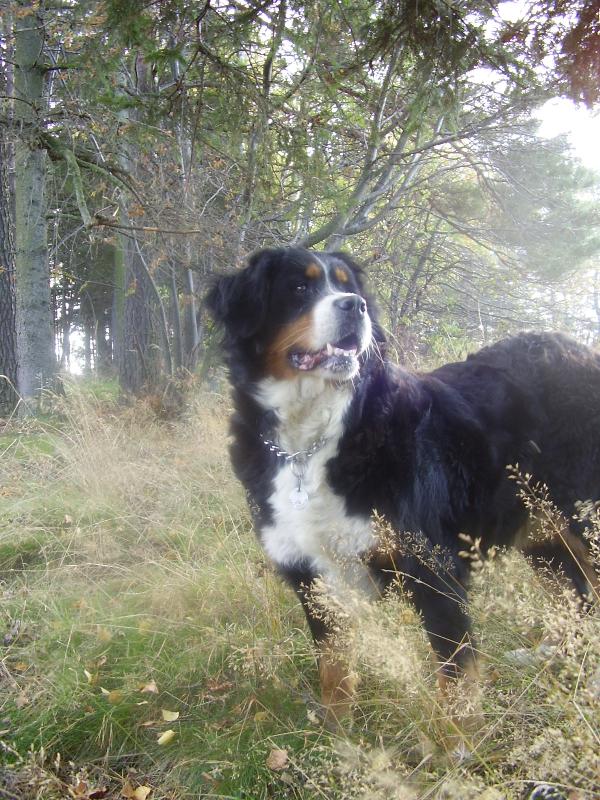 Foto: Salinka-...