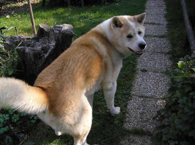 Foto: nazd��r