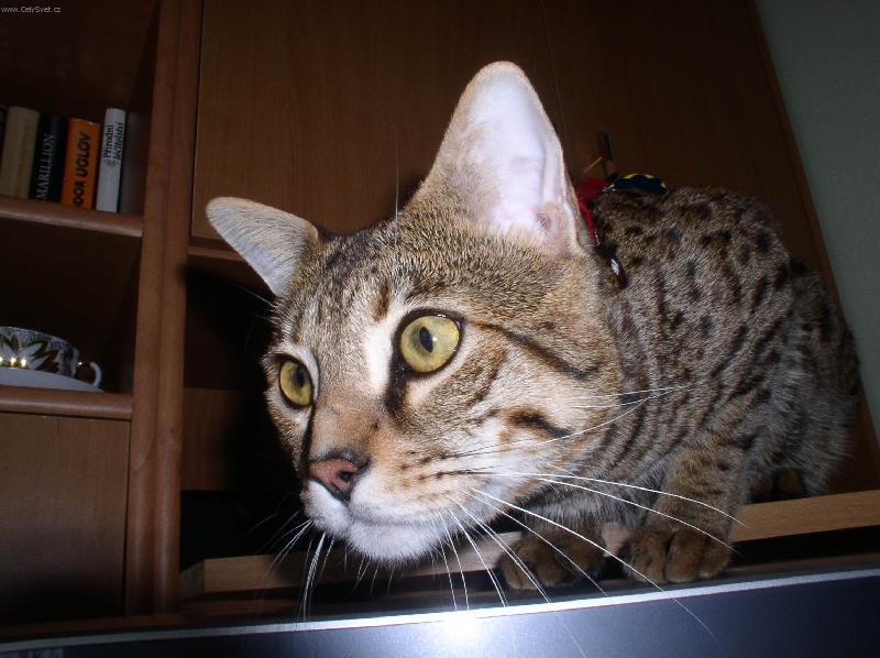 Foto: Hele, my�!