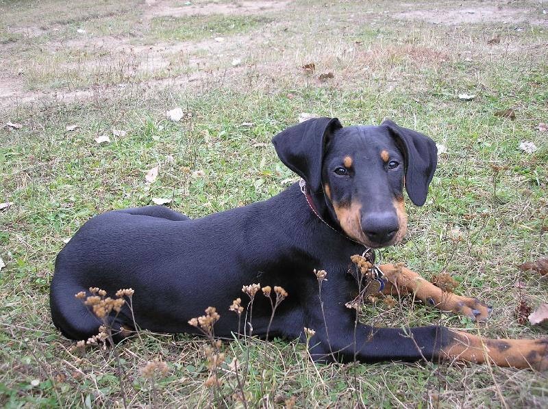 Foto: Sorbon