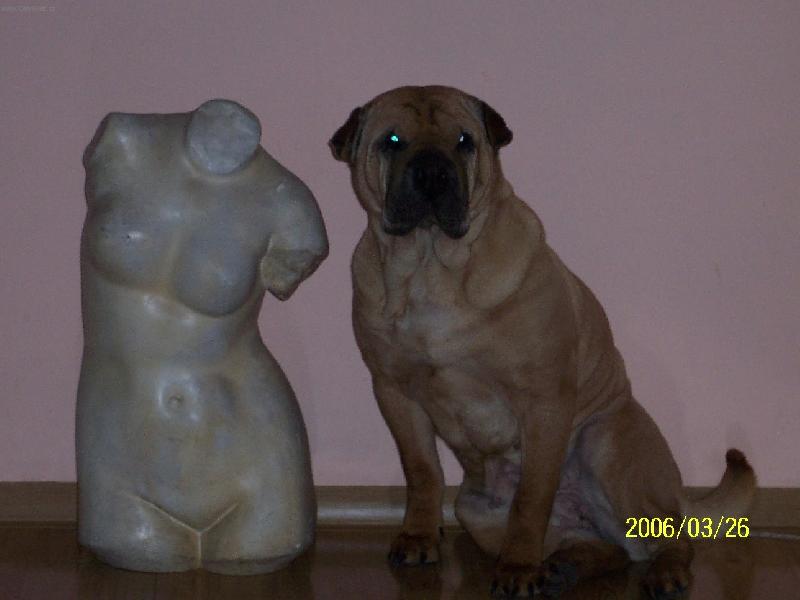 Foto: �OFINKA
