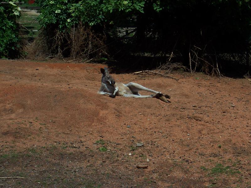 Foto: Kone�n� pohoda...