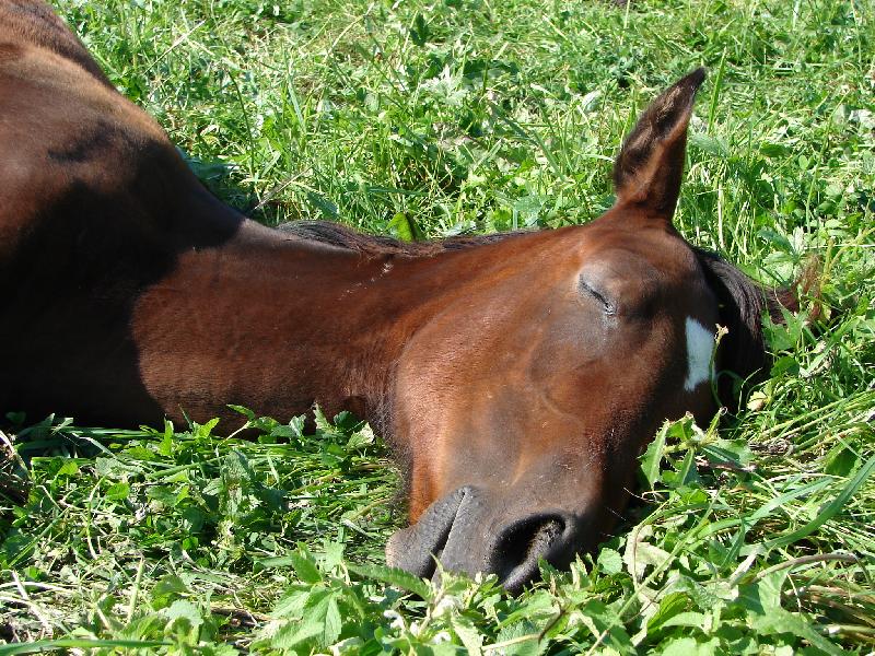 Foto: Nebudit, pros�m :-)