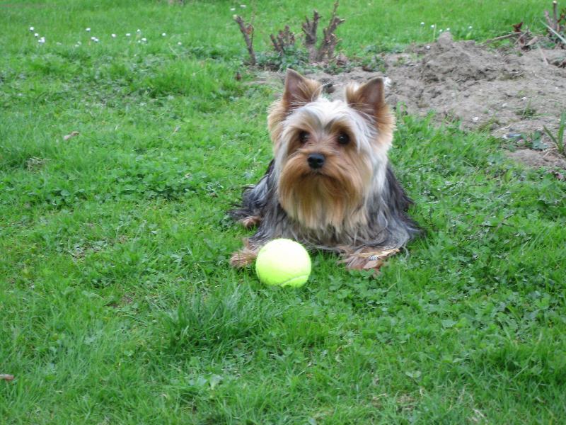 Foto: m�j mil��ek Pluto-"Tak hod� mi u� n�kdo ten m��ek?"