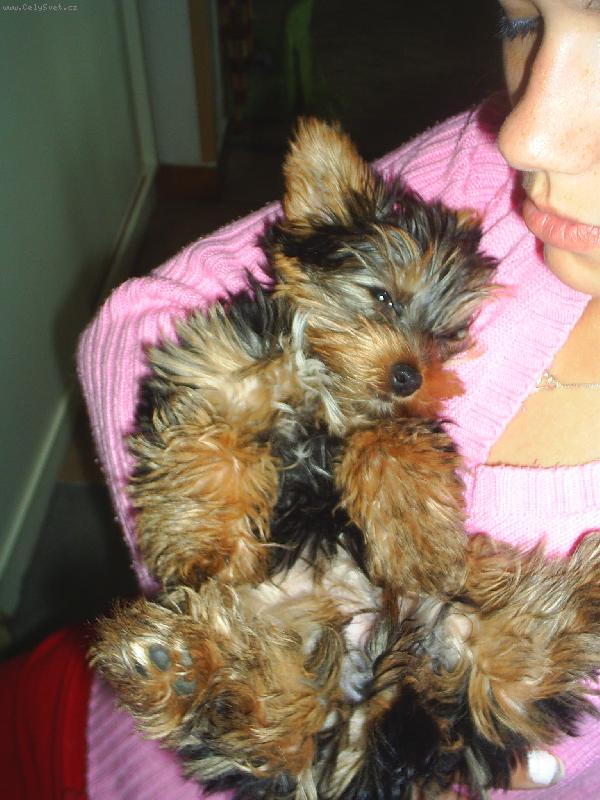 Foto: Nelinka hajink�-mus�m d�vat pozor,abych se p��li� nezp�lila :)