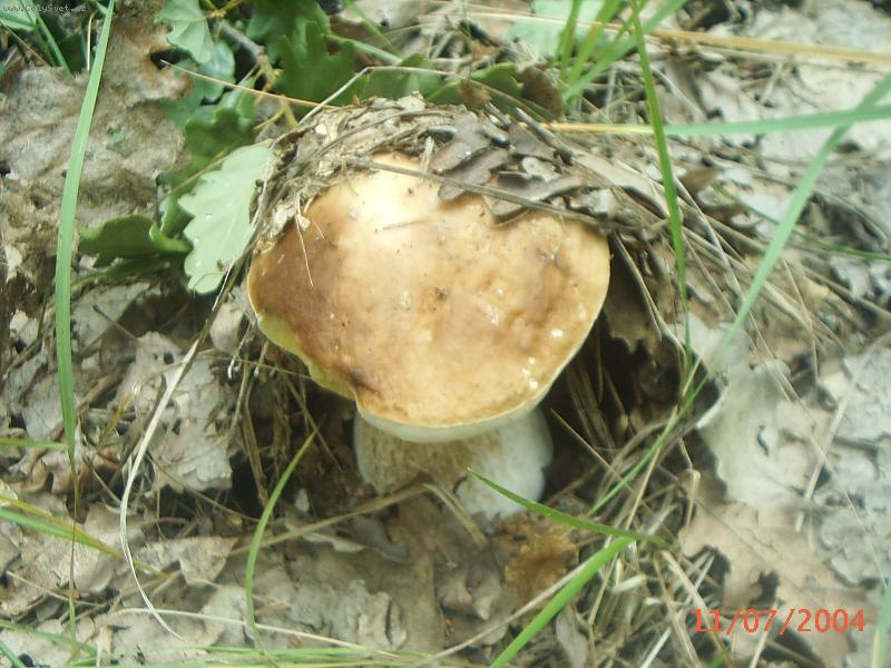 Foto: to je �lovek